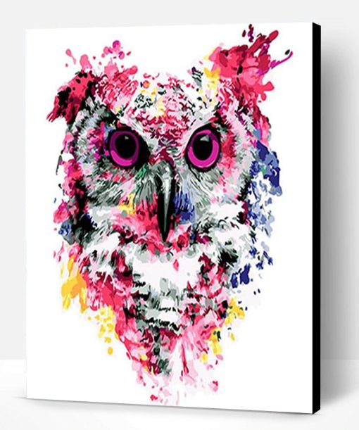 Colorful Owl Paint By Number