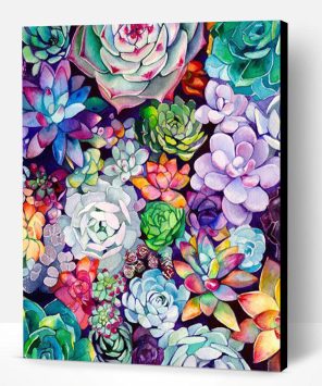 Colorful Succulent Garden Paint By Number
