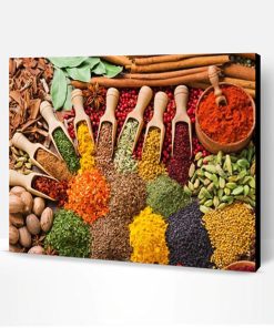 Colorful Spices Paint By Number
