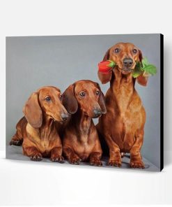 Cute Dachshund Dogs Paint By Number