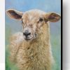 Cute Little Sheep Paint By Number