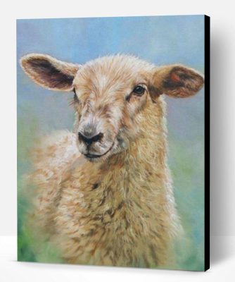 Cute Little Sheep Paint By Number