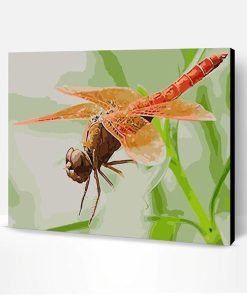 Red Dragonfly Paint By Number