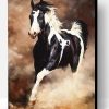 Black White Horse Paint By Number