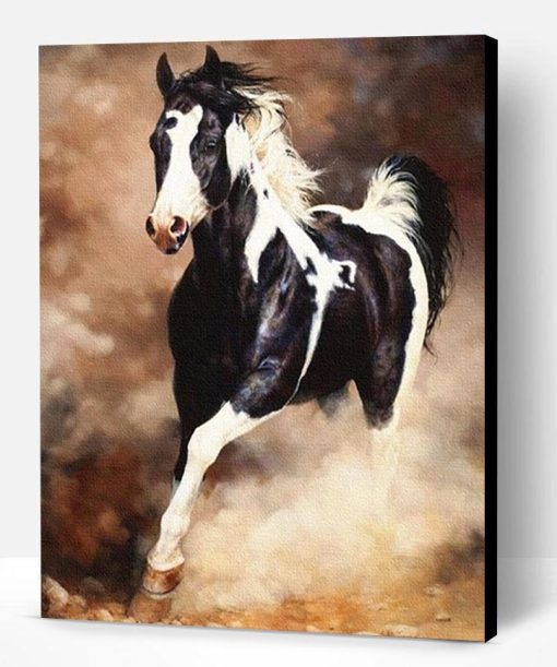 Black White Horse Paint By Number