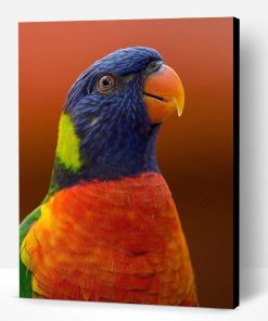 Rainbow Lorikeet Parrot Paint By Number