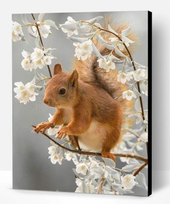 Cute Squirrel Paint By Number