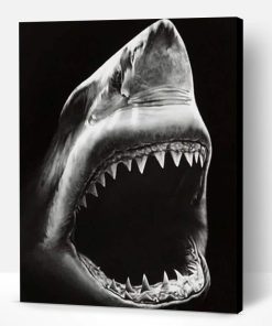 Black and White Shark Paint By Number