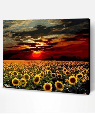 Sunflower Field Paint By Number