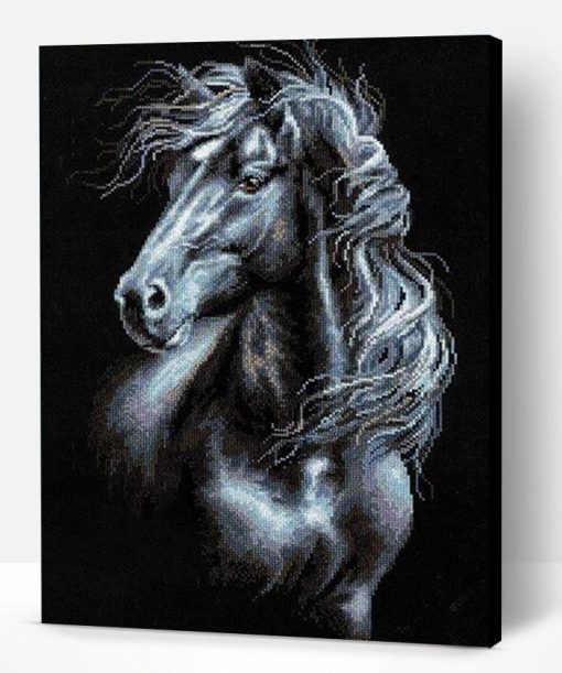 Black And White Horse Paint By Number