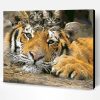 Tiger Kittens Paint By Number
