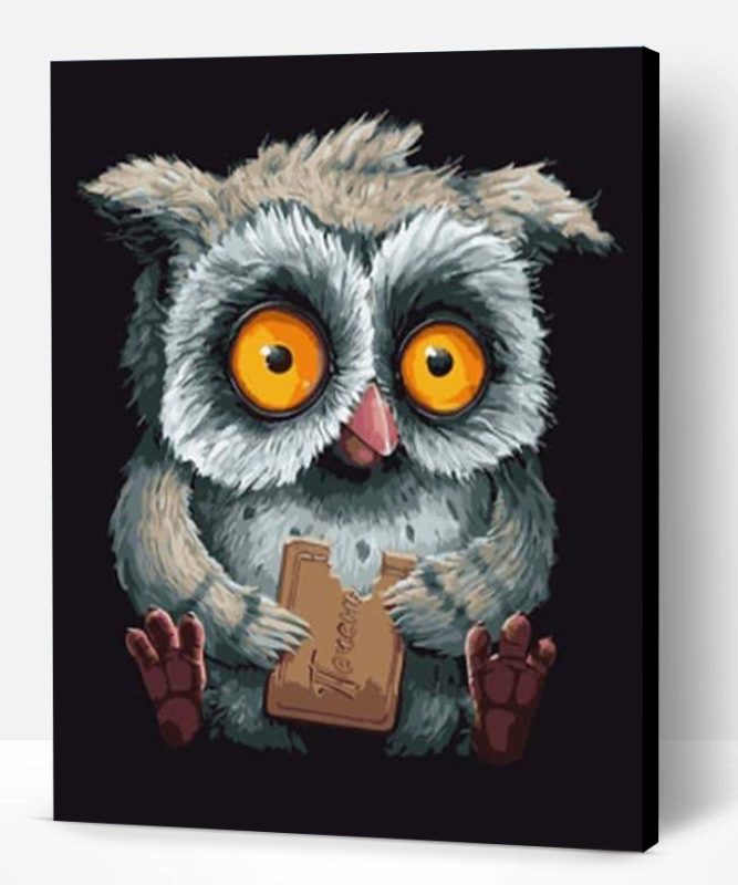 Owl Eating biscuits Paint By Number