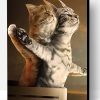 Cat Titanic Scene Paint By Number