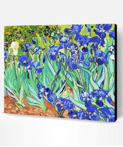 Vincent Van Gogh Irises Paint By Number