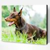 Doberman Dog Paint By Number