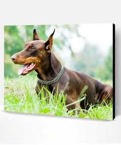 Doberman Dog Paint By Number