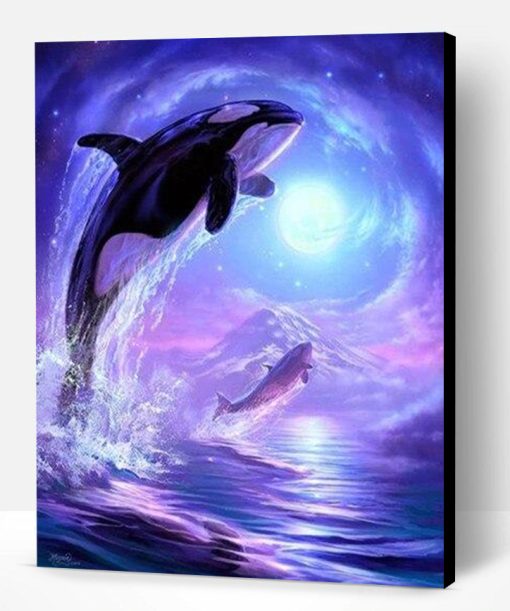 Dolphin In Sea At Night Paint By Number