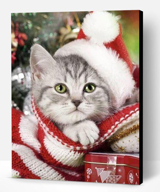 Christmas Kitten Cat Paint By Number