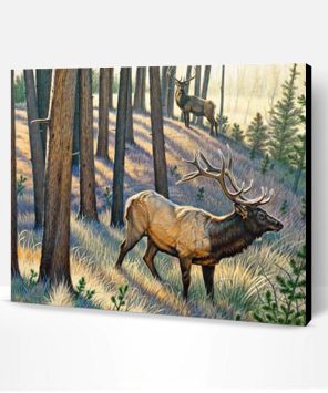 Bull Elk Paint By Number