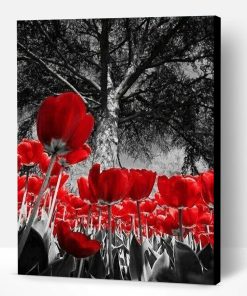 Red Tulips In Black Paint By Number