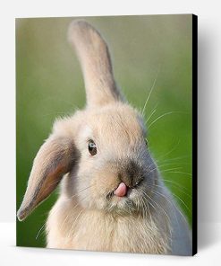 Funny Rabbit Tongue Paint By Number