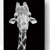 Giraffe Black And White Paint By Number