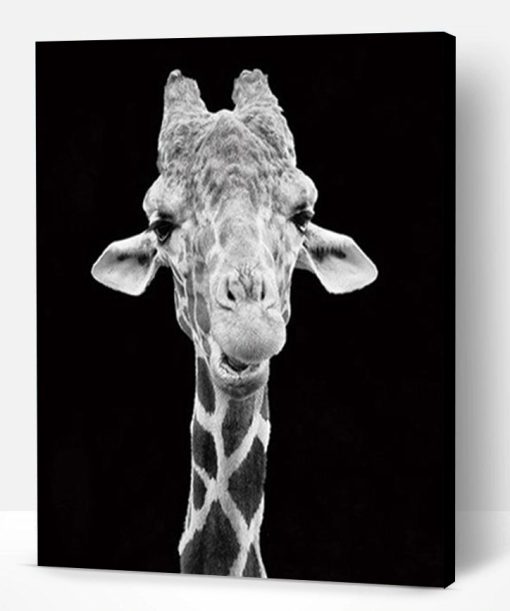 Giraffe Black And White Paint By Number