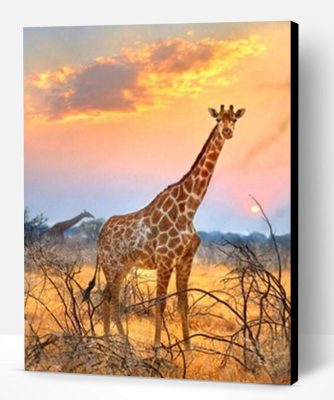 Giraffe With Sunrise Paint By Number