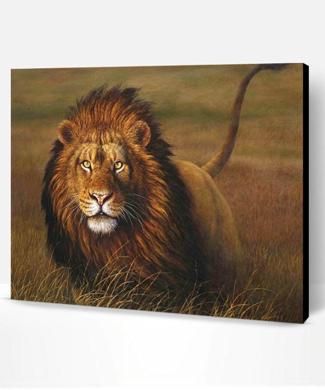 Grassland Beast Lion Paint By Number