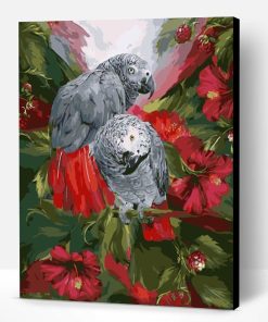 Gray Parrot Paint By Number