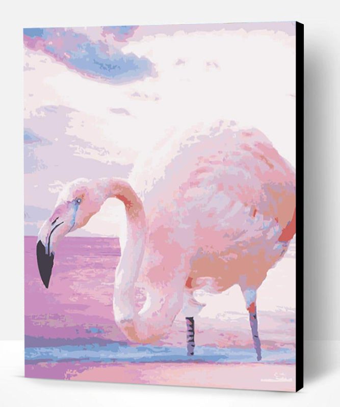 Greater Flamingo Paint By Number