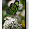 Green Butterfly on Flower Paint By Number