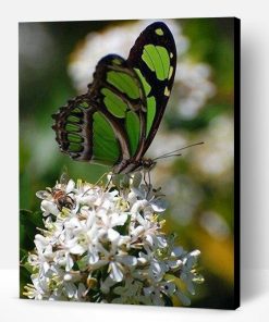 Green Butterfly on Flower Paint By Number