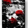 Grey Backgrounds With Roses Paint By Number