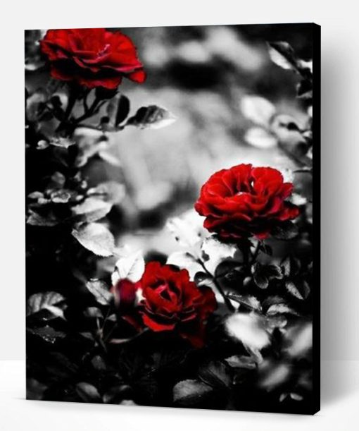 Grey Backgrounds With Roses Paint By Number