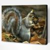 Grey Squirrel Paint By Number