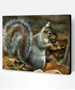 Grey Squirrel Paint By Number