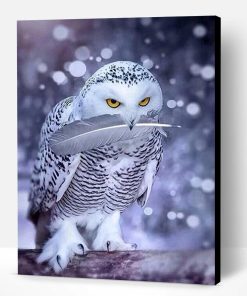 Grey owl Paint By Number