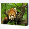 Little Red Panda on a Branch Paint By Number