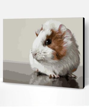 Cute Guinea Pig Paint By Number