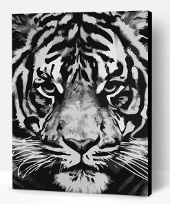 Tiger In black and White Paint By Number