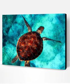 Turtle Sea Swimming Paint By Number
