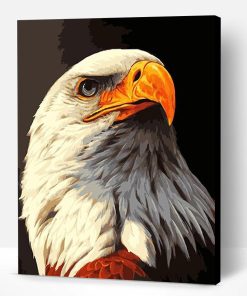 Eagle eye fierce Paint By Number