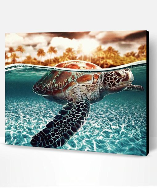 Sea Turtle Paint By Number