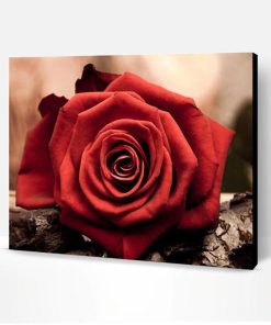 Romantic Red Rose Flowers Paint By Number