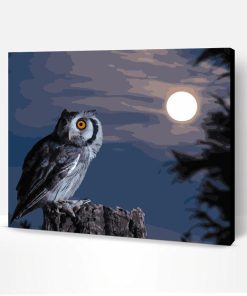 Scary Owl Moon Paint By Number