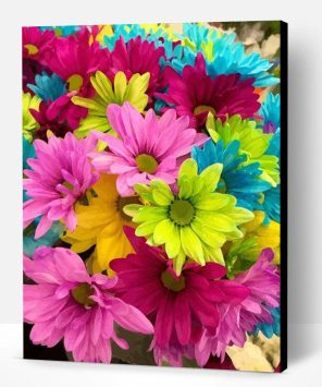 Colorful Daisies Flowers Paint By Number