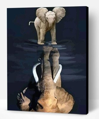 Elephant Reflection Paint By Number