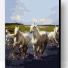 Wild White Horses Paint By Number