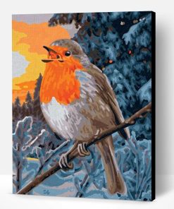 The European Robin Birds Paint By Number